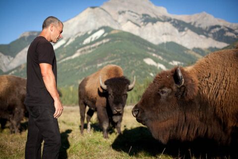 Blaeberry Valley Buffalo Ranch