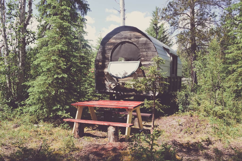 Wagon in the Woods at Rocky Mountain Buffalo Ranch, Golden BC